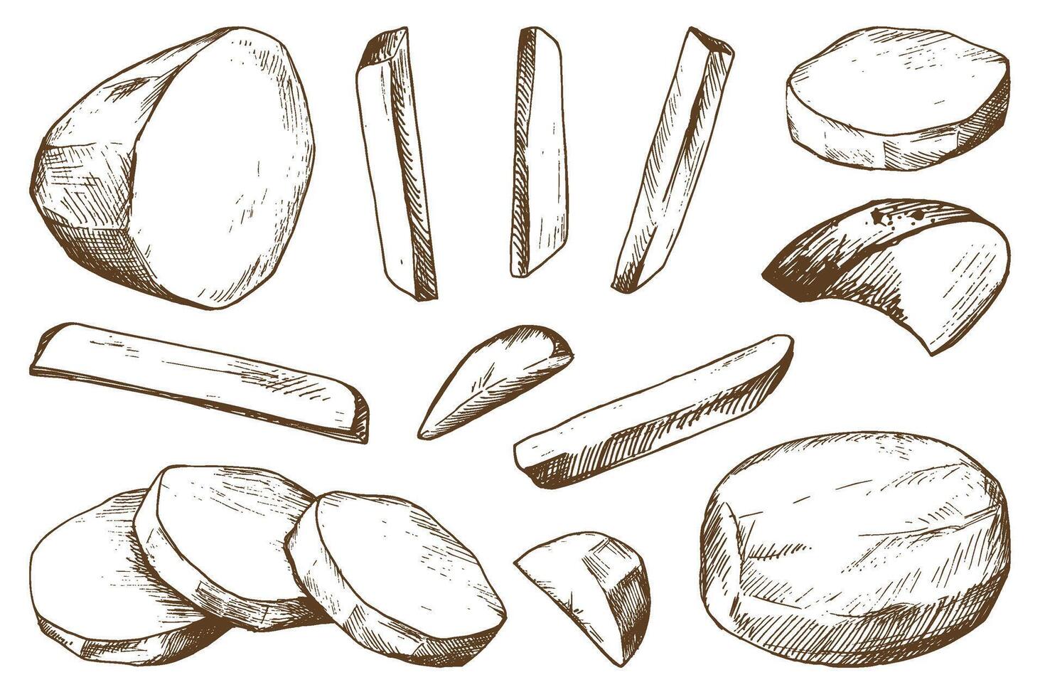 White potatoes, peeled, whole, half, cut into slices and sticks for French fries. Graphic illustration hand drawn in brown ink. EPS on the theme of harvest cooking, food, packaging vector