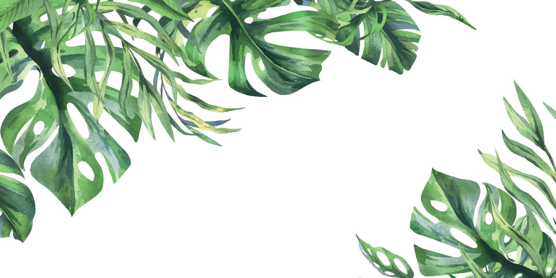Tropical coconut, banana palm leaves, monstera, monkey mask, frangipani, bright juicy green. Hand drawn watercolor botanical illustration. Frame, template isolated from background vector
