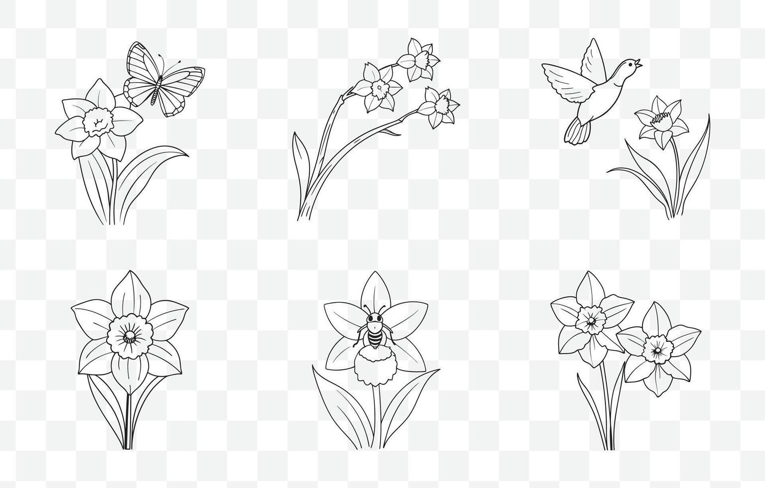 Print Exquisite Daffodil Line Art Set Detailed Floral Illustrations for Elegant Designs and Botanical Art vector