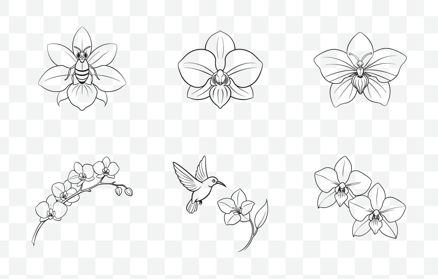 Print Elegant Orchid Line Art Set for Intricate Floral Illustrations and Detailed Botanical Designs vector
