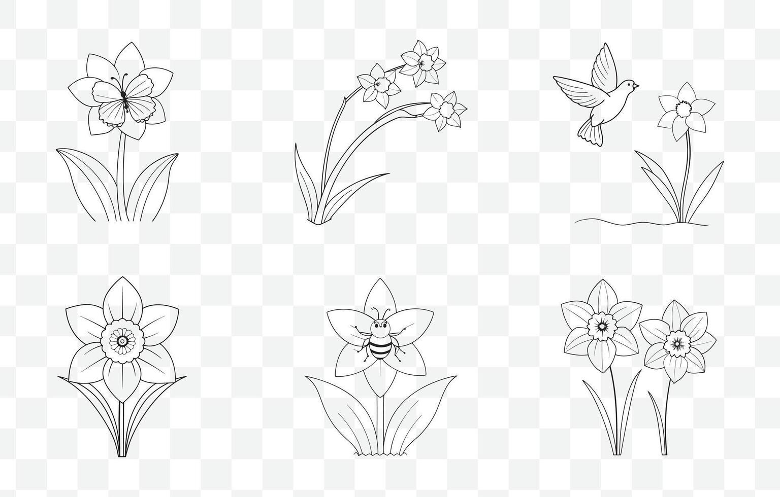 Print Elegant Daffodil Line Art Set for Detailed Floral Illustrations and Artistic Botanical Designs vector