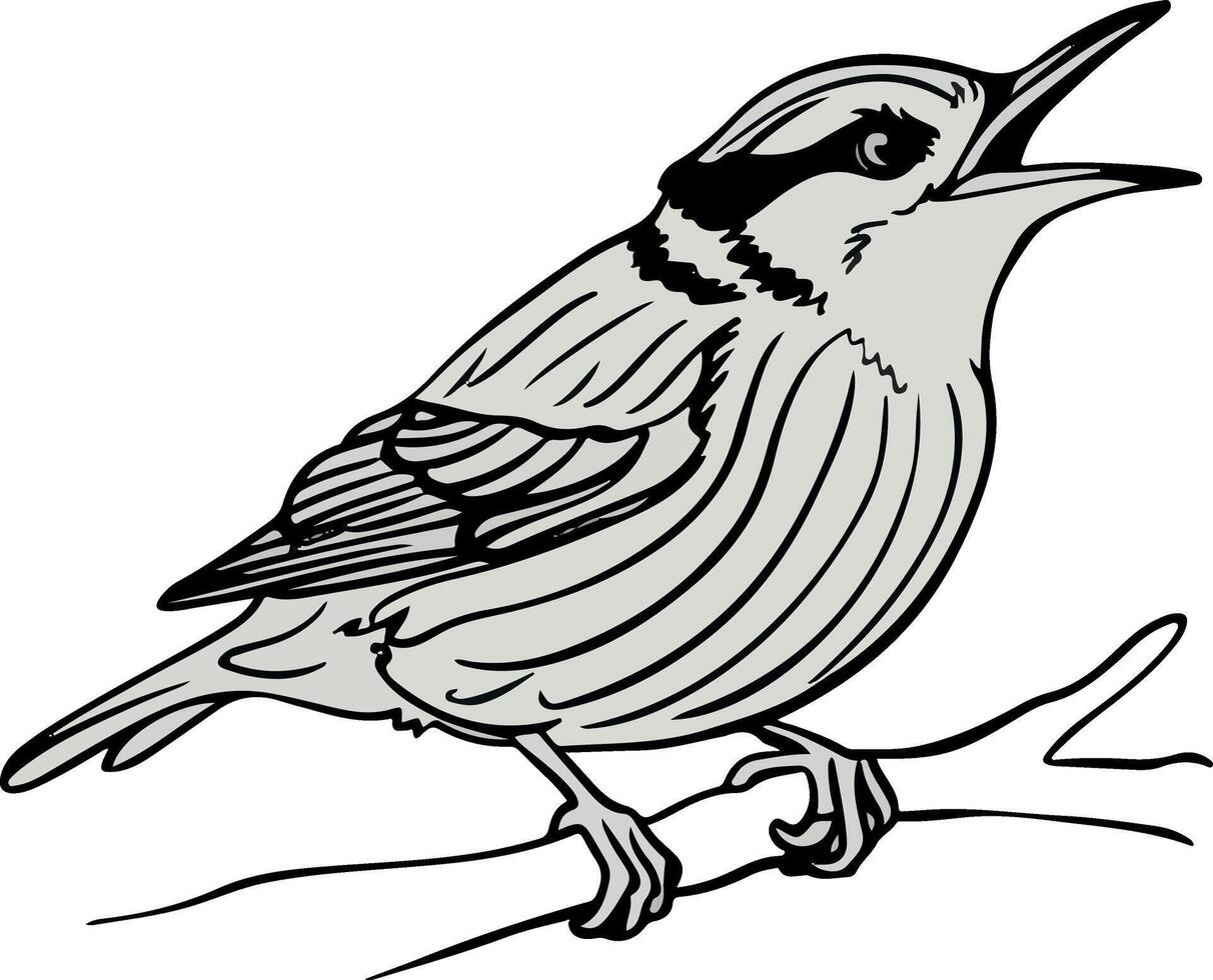 Illustrator Artwork of a bird vector