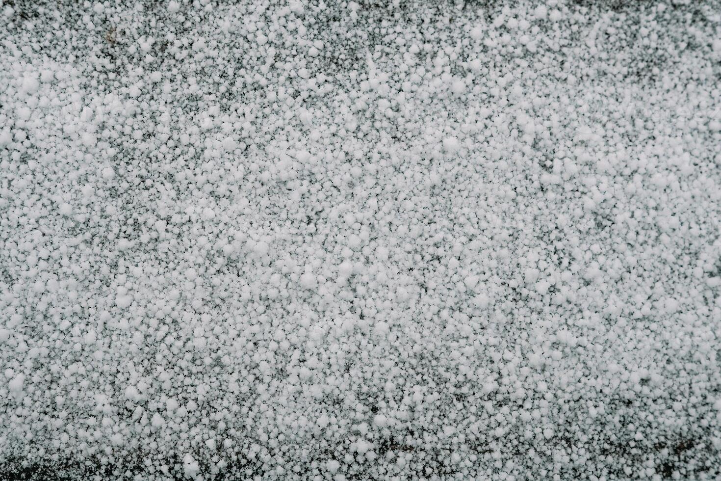 Selective focus. First snow on a frozen field plants, late autumn close-up. Beautiful abstract frozen microcosmos pattern. Freezing weather frost action in nature. Floral backdrop. photo
