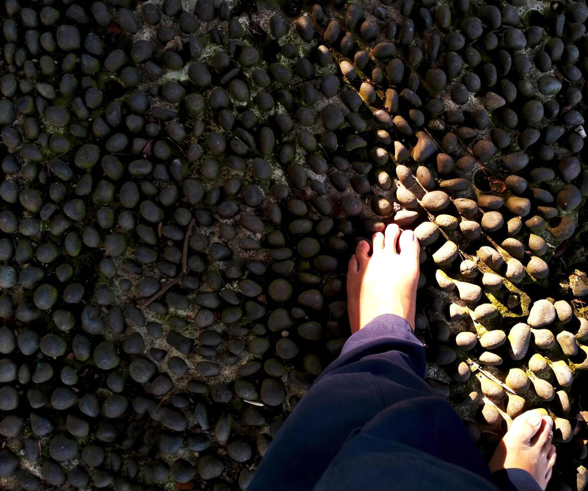 Top view of walking barefoot along the pebble stone massage path in the park. Sport in the morning. Foot massage healthy lifestyle concept. Nature meditation. photo