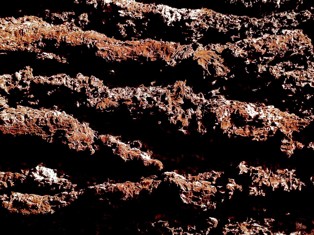 close up embossed abstract texture background of a tree bark. Bark pattern texture from tree. photo