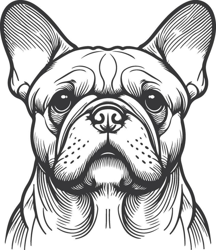 Line art French bulldog illustration. Ink style, cute animal for print linear silhouette. vector