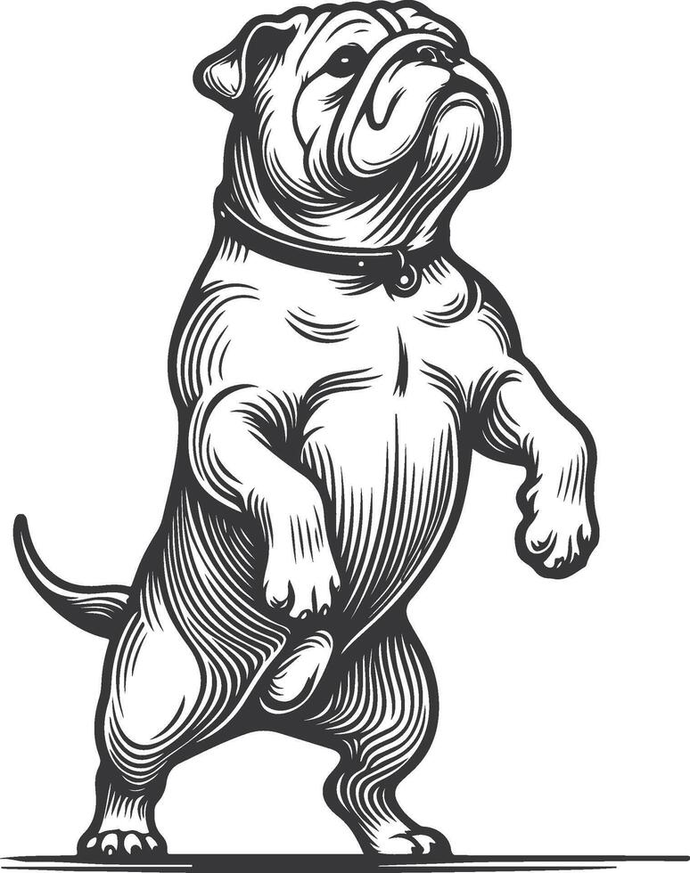 Line art French bulldog illustration. Ink style, cute animal for print linear silhouette. vector