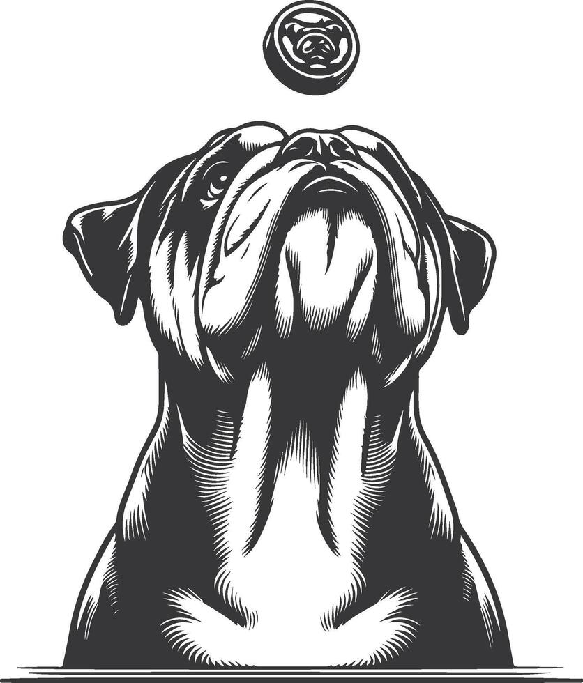bulldog with Balancing a treat on the nose silhouette design. vector