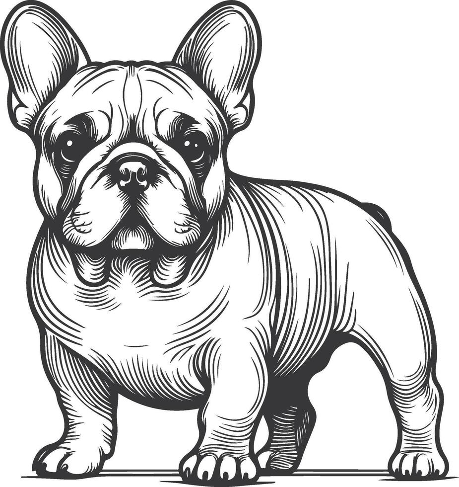 Line art French bulldog illustration. Ink style, cute animal for print linear silhouette. vector