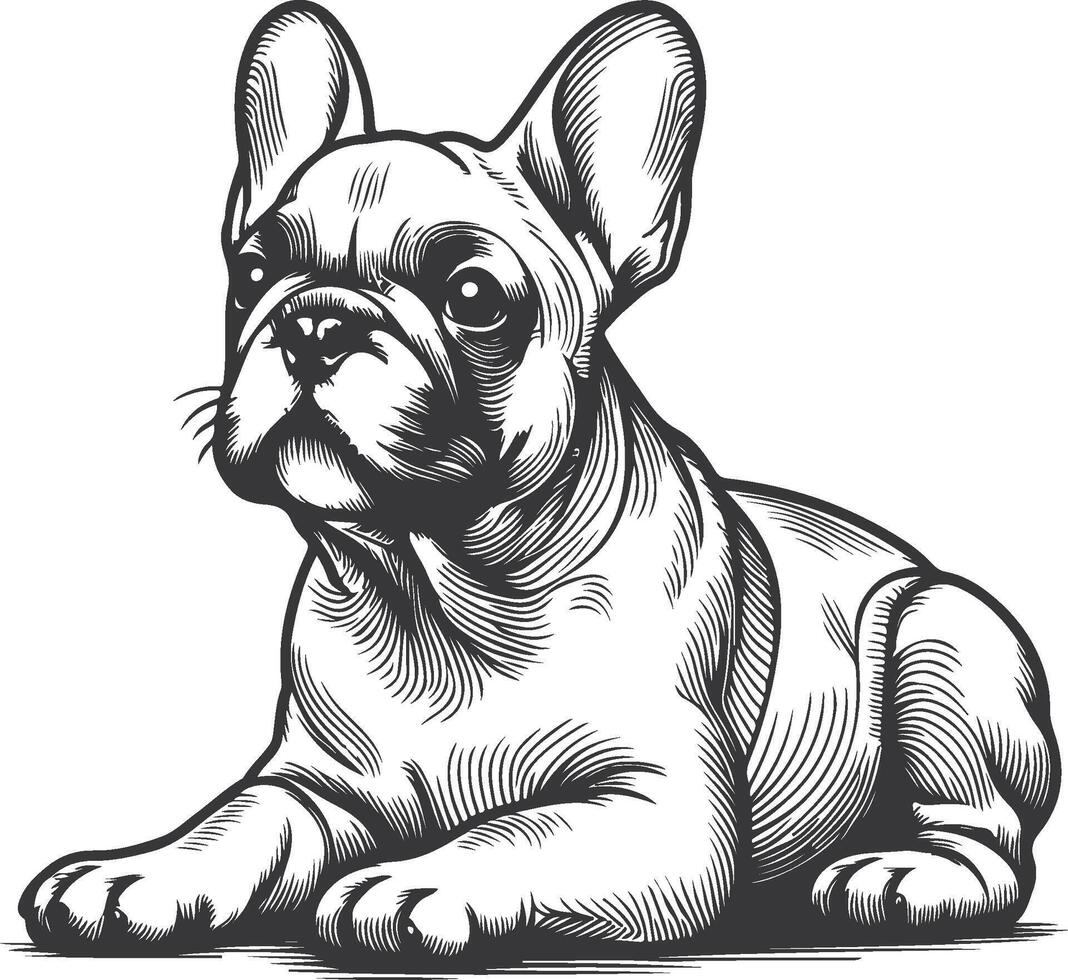 Line art French bulldog illustration. Ink style, cute animal for print linear silhouette. vector