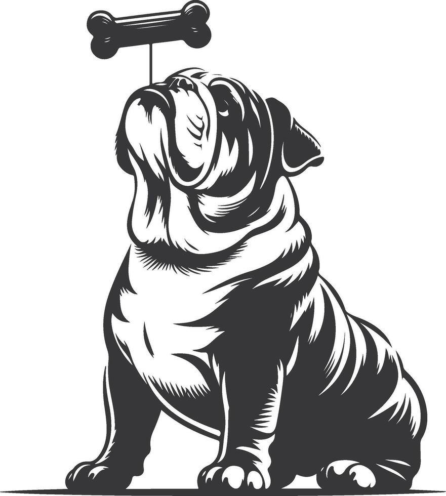 bulldog with Balancing a treat on the nose silhouette design. vector