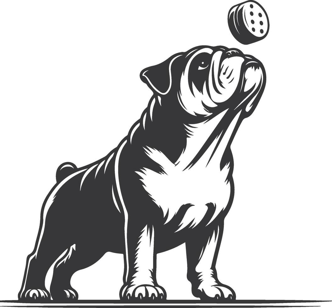 bulldog with Balancing a treat on the nose silhouette design. vector