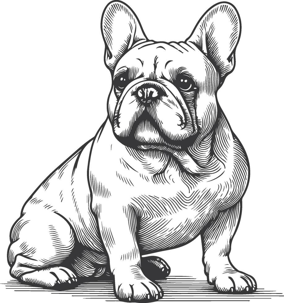 Line art French bulldog illustration. Ink style, cute animal for print linear silhouette. vector
