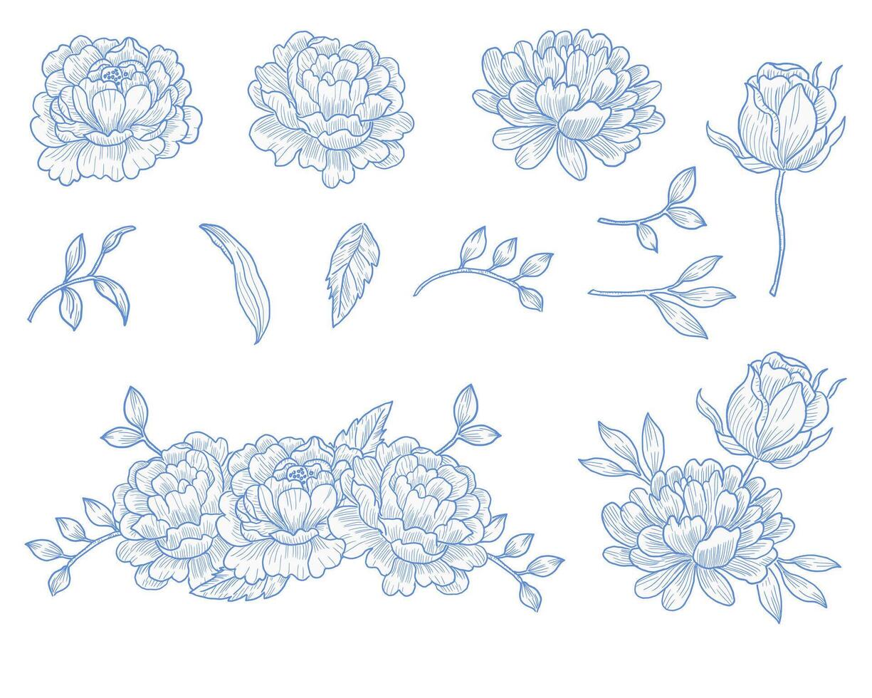 Hand Drawn Blue Rose Flower vector