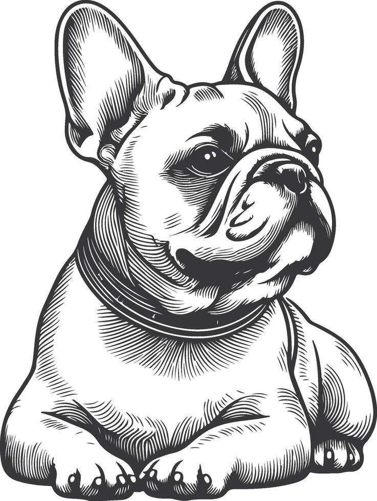 Line art French bulldog illustration. Ink style, cute animal for print linear silhouette. vector