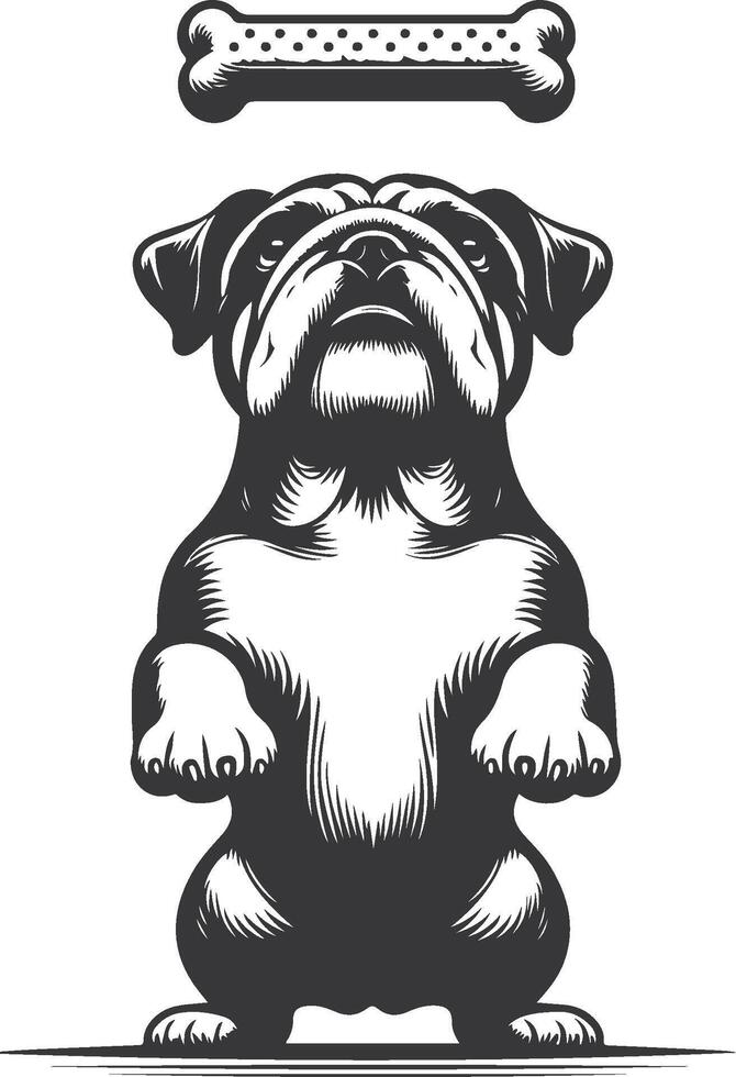 bulldog with Balancing a treat on the nose silhouette design. vector