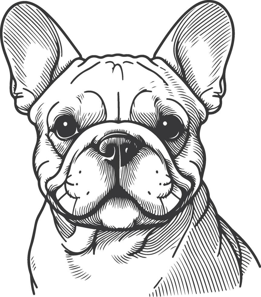 Line art French bulldog illustration. Ink style, cute animal for print linear silhouette. vector