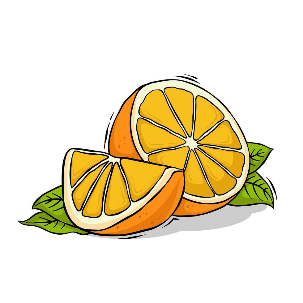 Hand drawing illustration of orange fruit. Orange slice drawing, suitable for fresh organic fruit design. vector