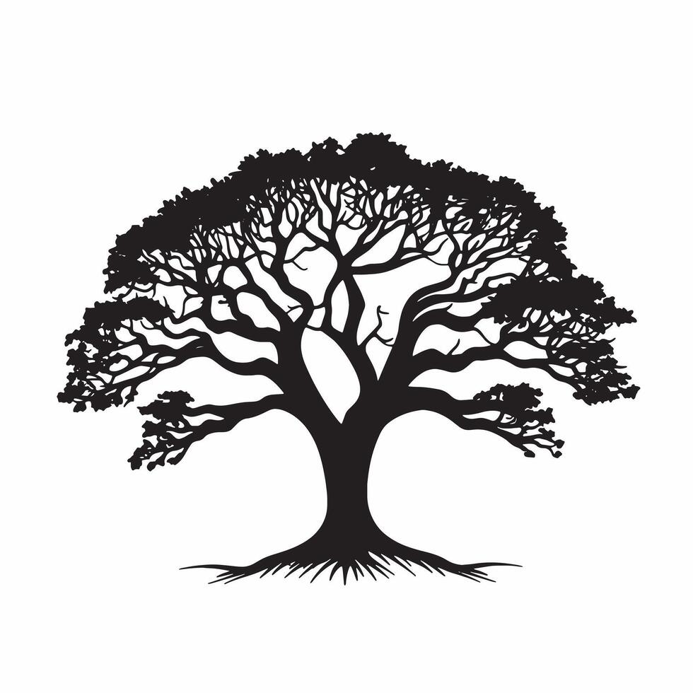 Black silhouette of a banyan isolate which background vector