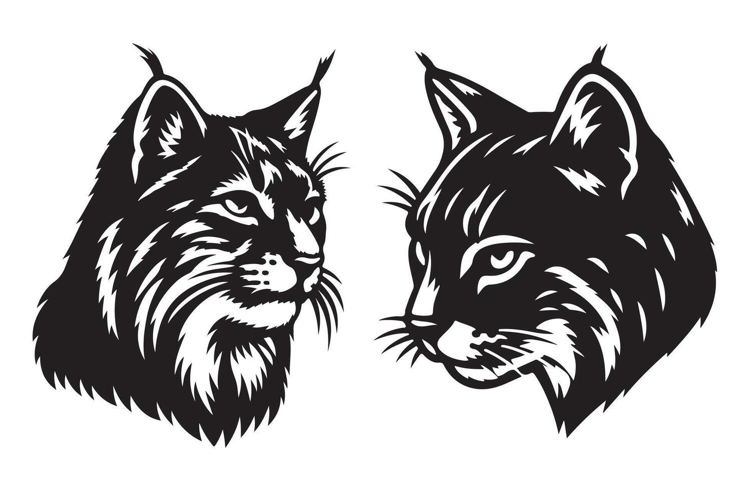 Bobcat Diet What Do They Eat vector
