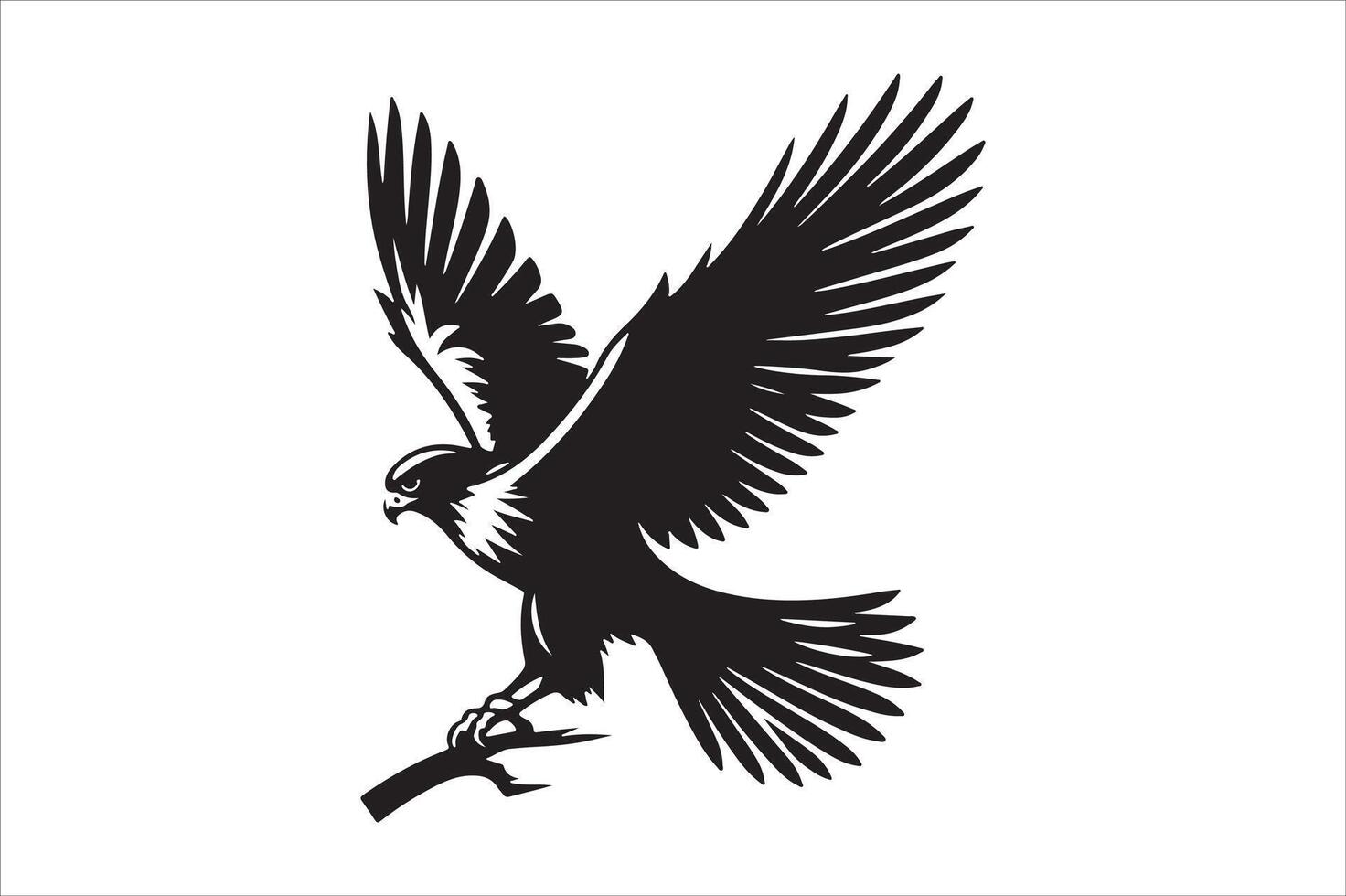 The Best Falcon File vector