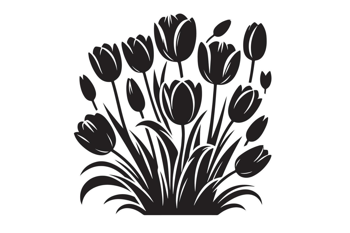 Tulip Varieties Exploring Different Types of Tulips vector
