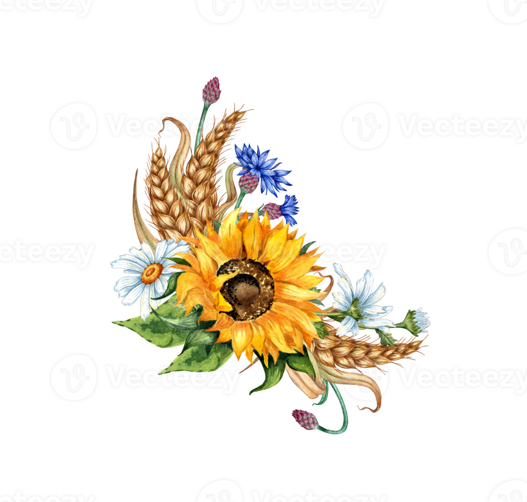 Sunflower, daisies, cornflower, ears of wheat boutonniere watercolor illustration. Harvest Festival. The bouquet is isolated from the background. Compositions posters, cards, banners, flyers, covers png