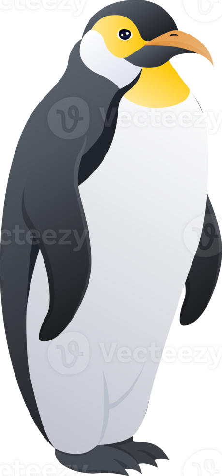 penguin north pole illustration design png
