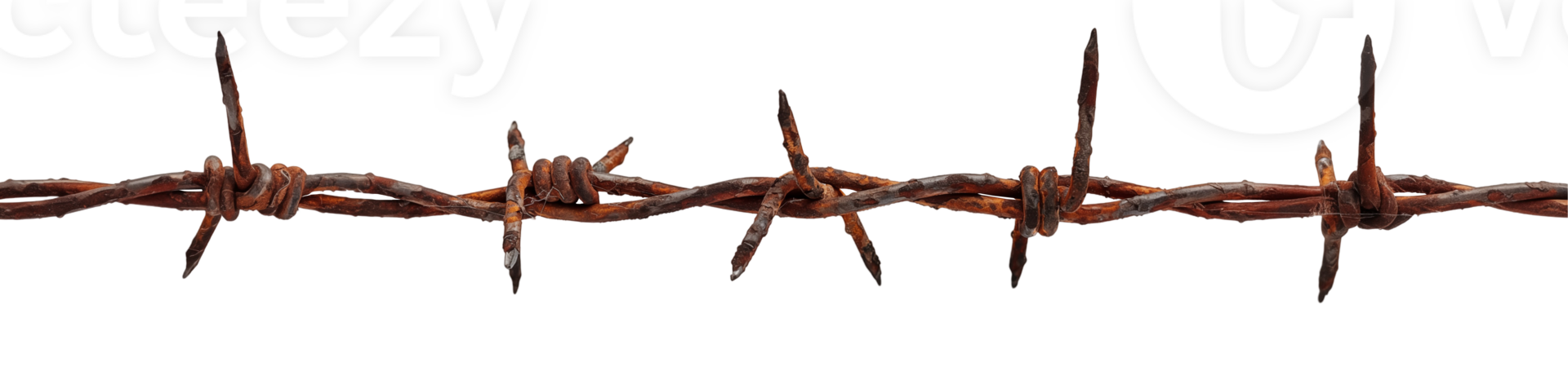 rusty barbed wire Isolated Background png