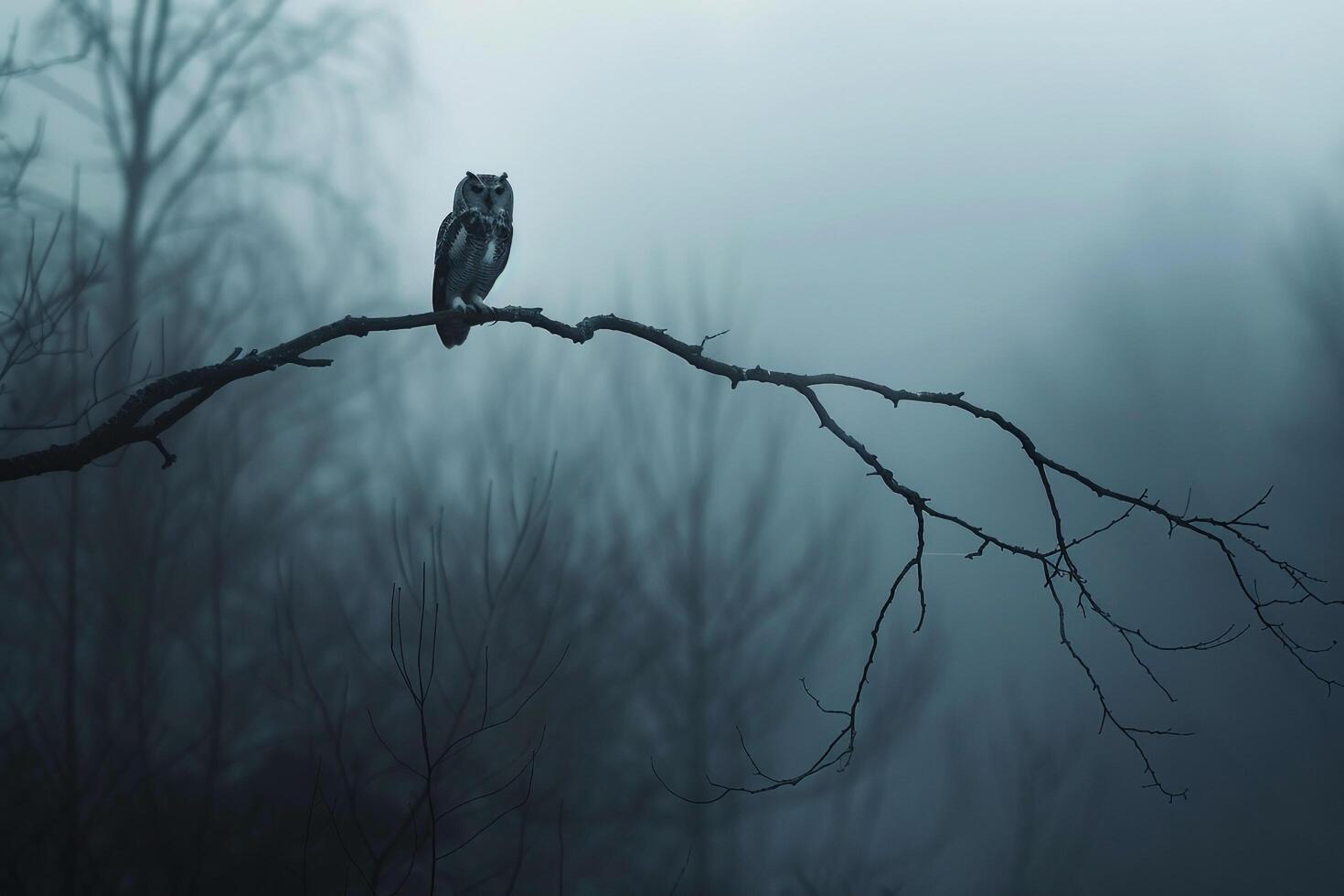 Owl on a Tree Branch in the Foggy Forest photo