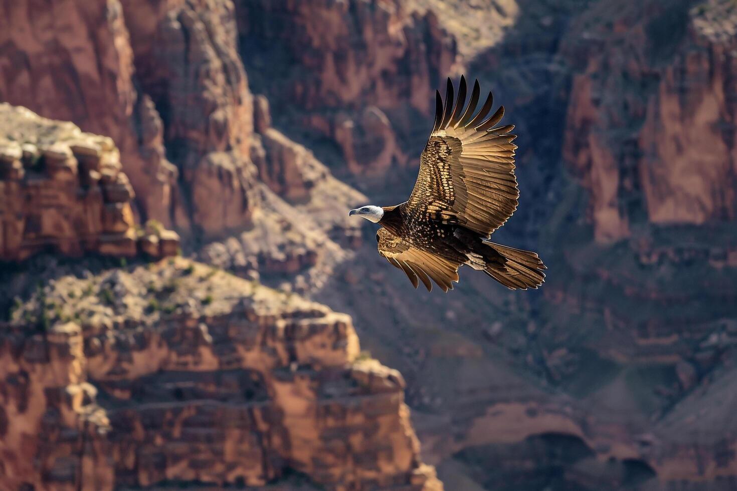 Bird flying over a canyon, background photo
