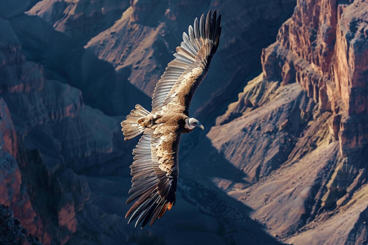 Large bird flying over canyon background photo