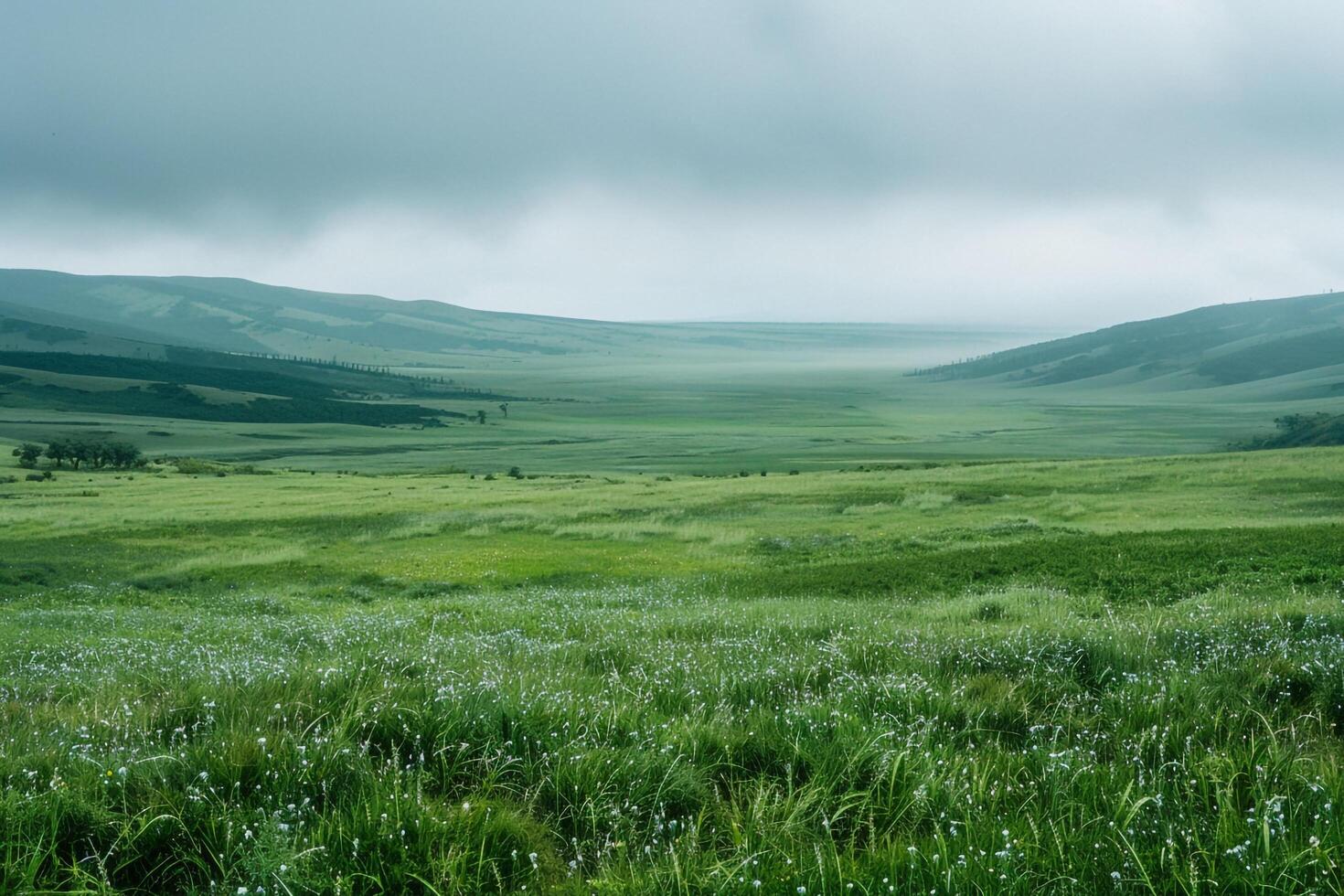 Grassy Field with Mountain in Background photo