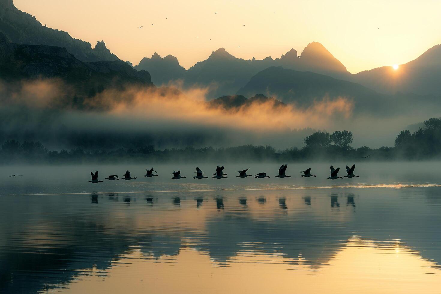 Group of Birds Flying over Lake at Sunrise Background photo