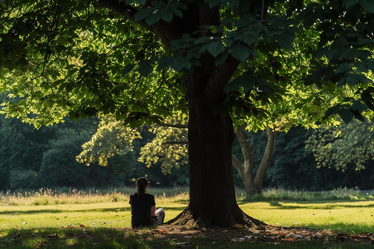 Person Sitting Under a Tree in a Park Background photo