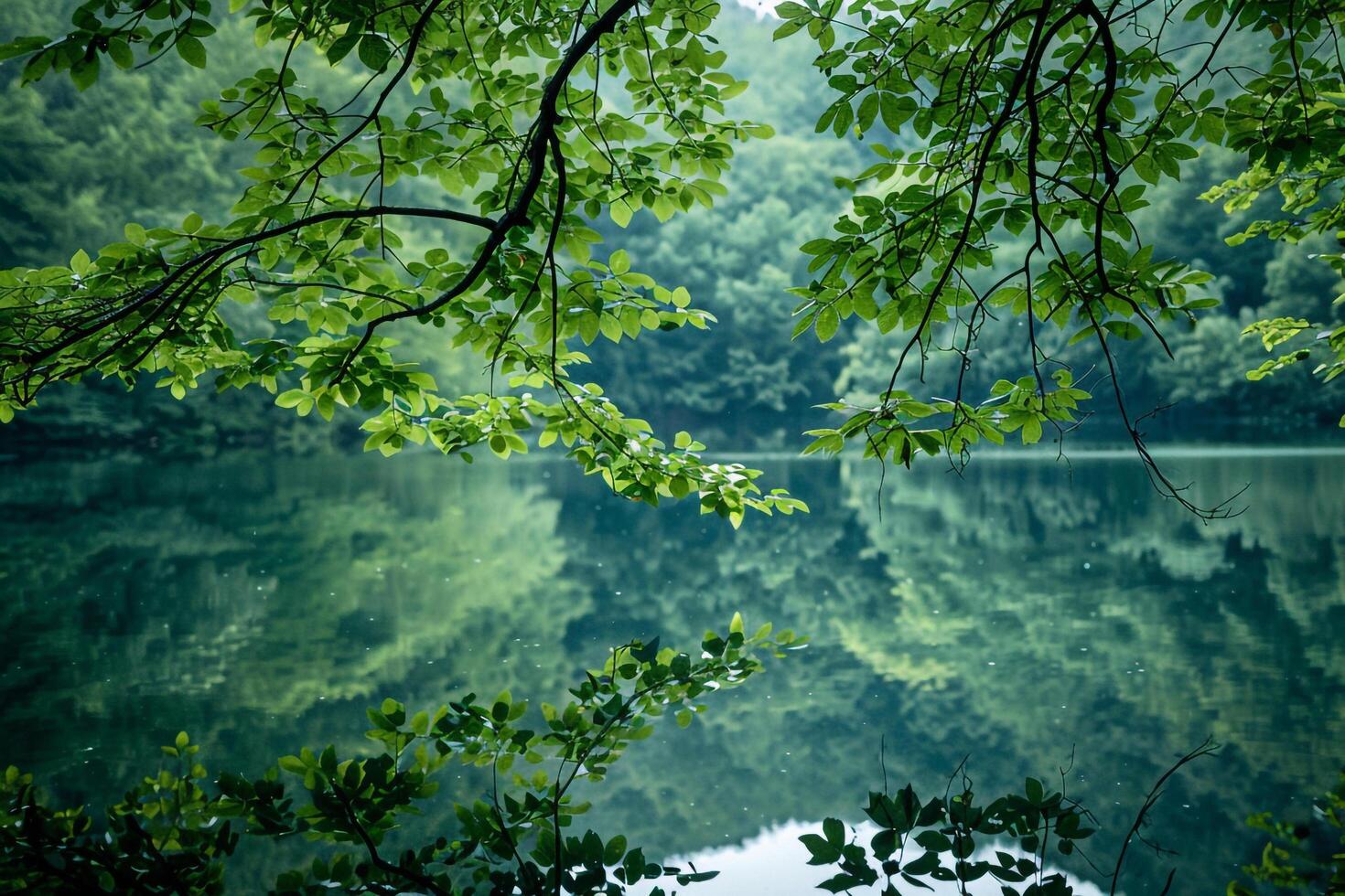 Lake Surrounded  Trees and Green Leaves Background photo