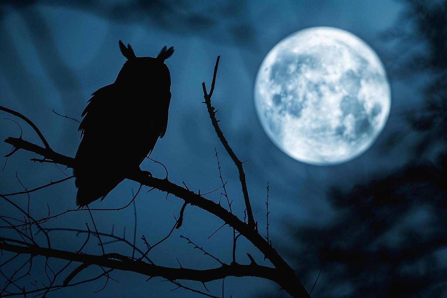 Owl on Branch in Front of Full Moon Background photo
