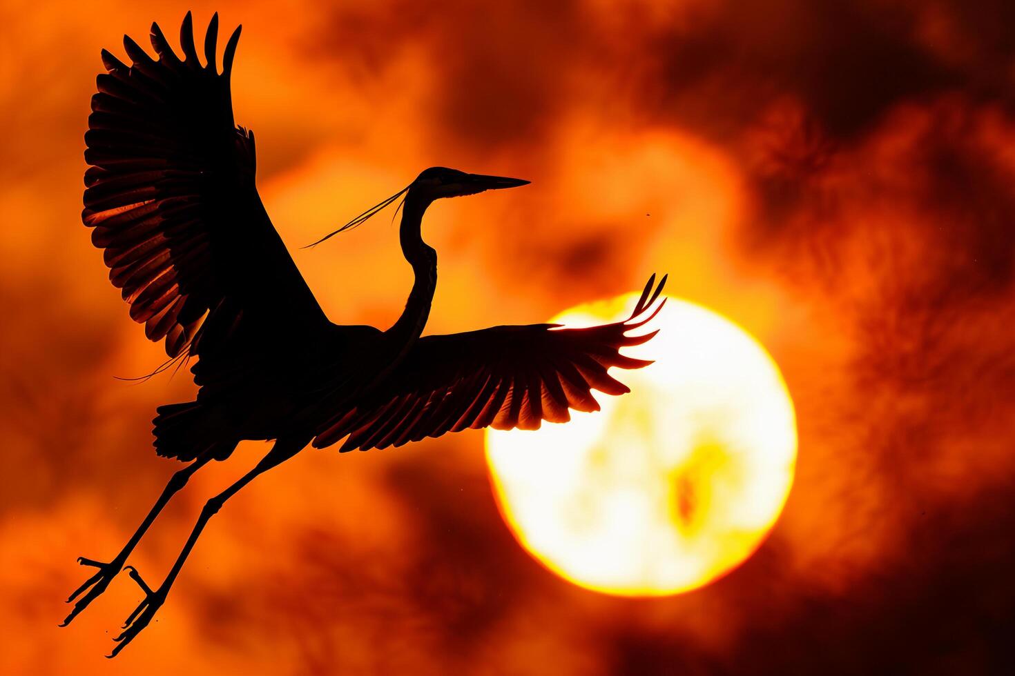 Bird Flying in Sky Background photo