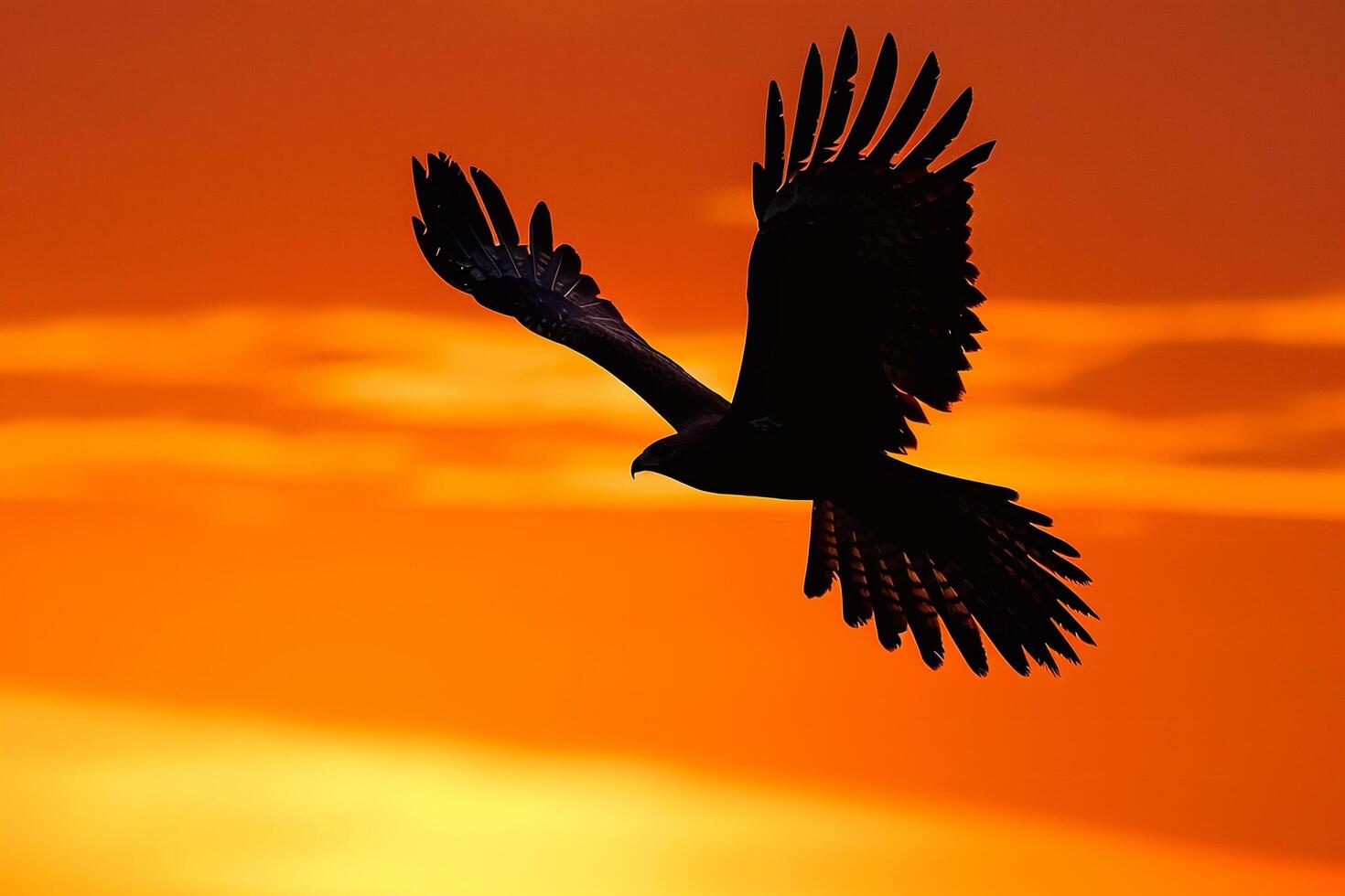 Bird Flying in Sky at Sunset Background photo