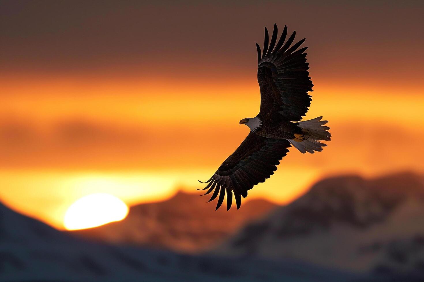 Eagle Flying Over Mountains at Sunset Background photo