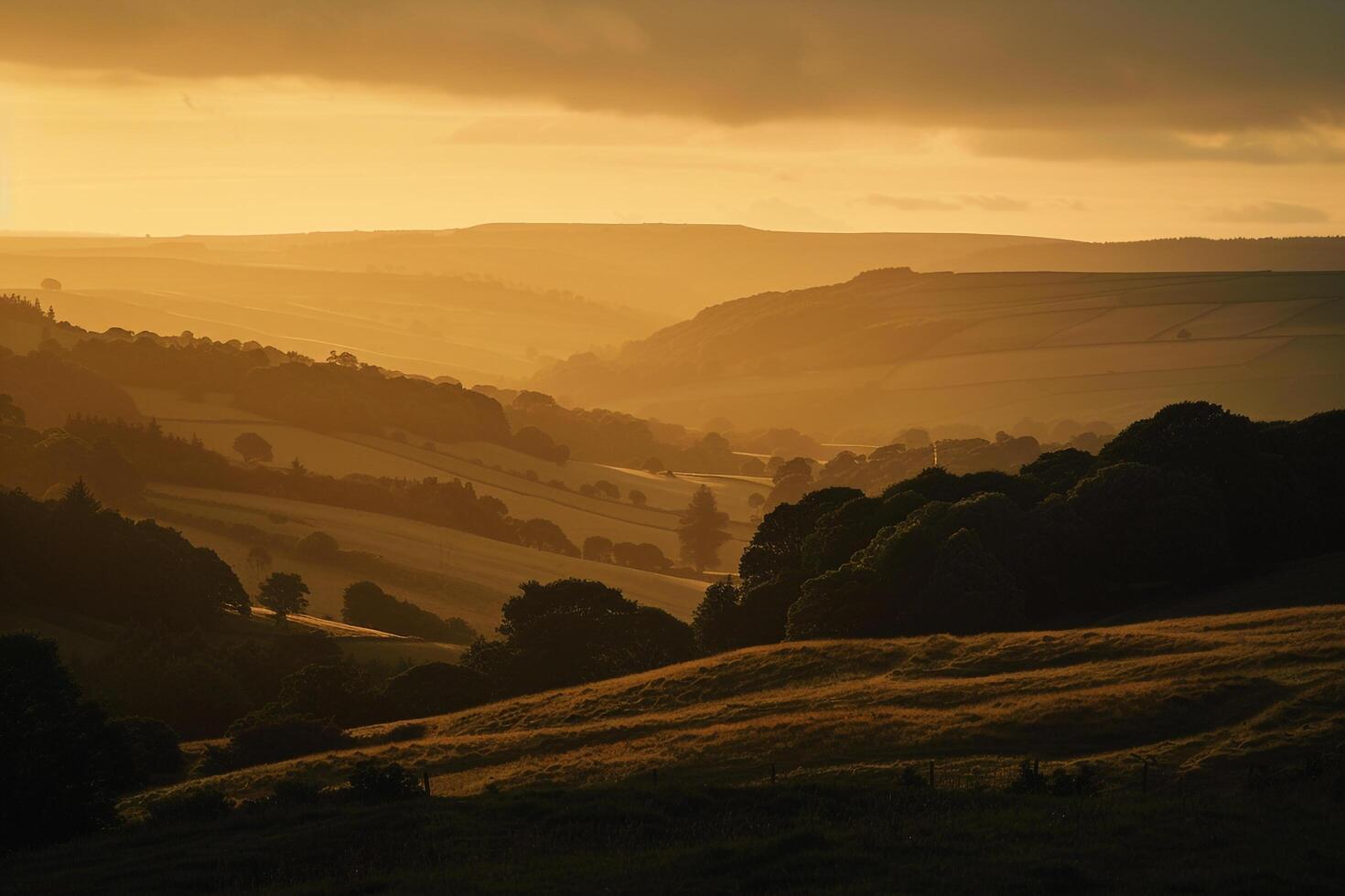 Large Field with Trees and Hills Background photo