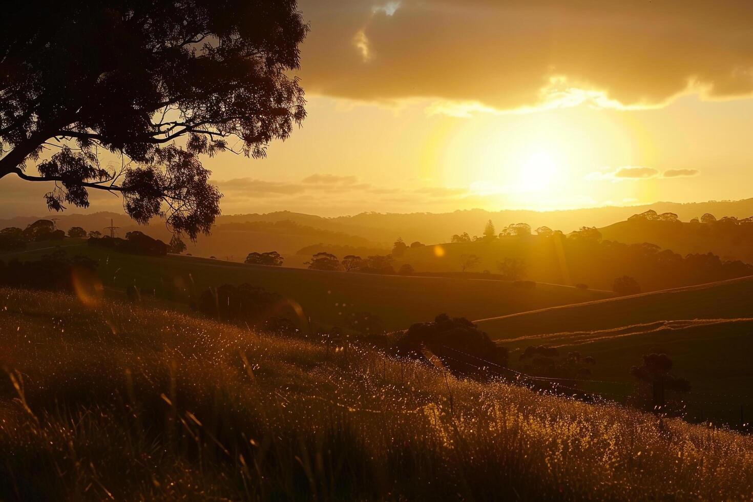 Sunset over Hill with Grass and Trees Background photo