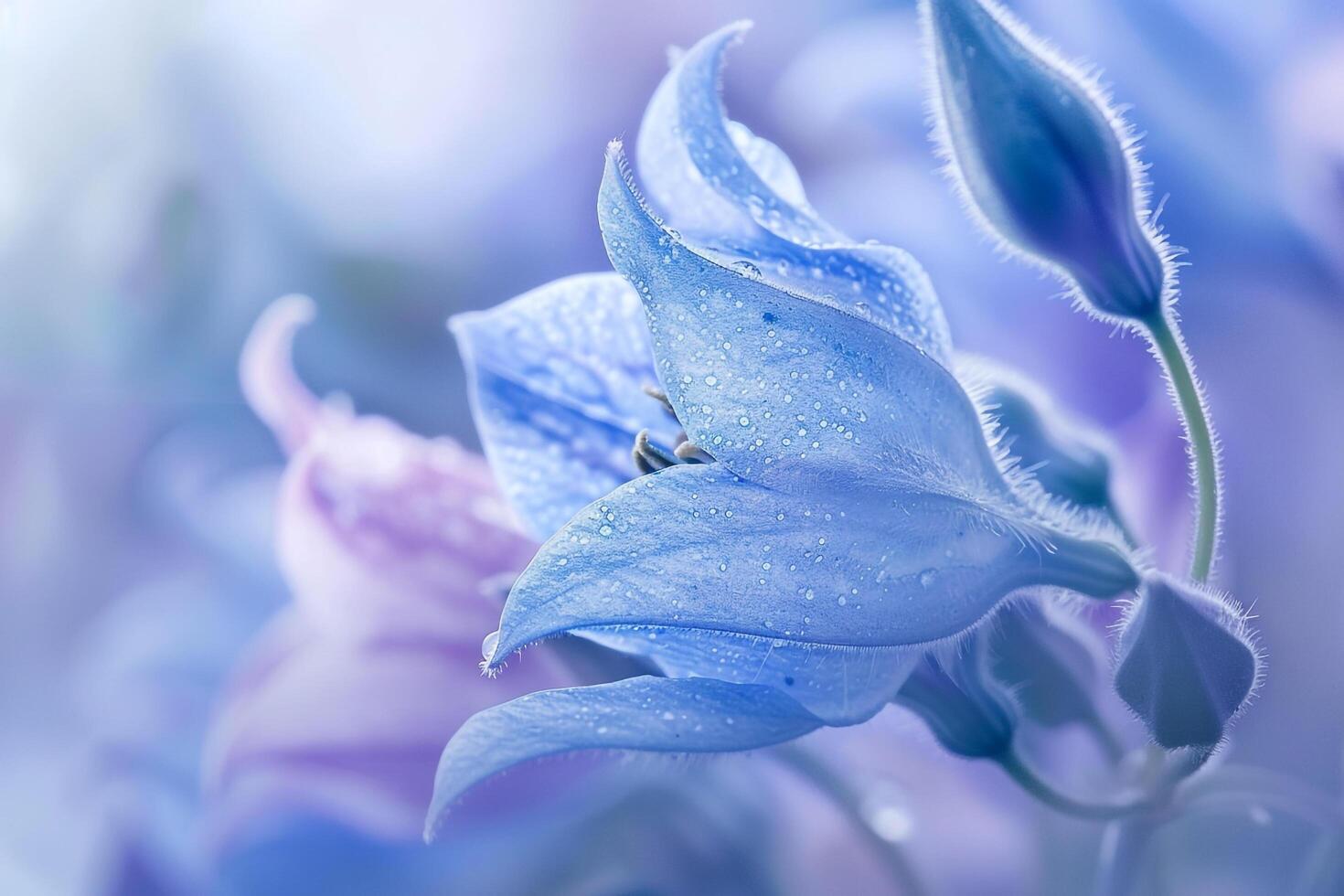 azul flores con agua gotas en ellos foto