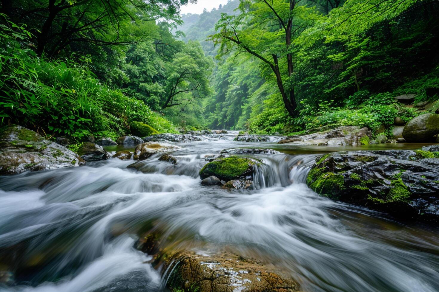 a river flowing through a forest with rocks and trees photo