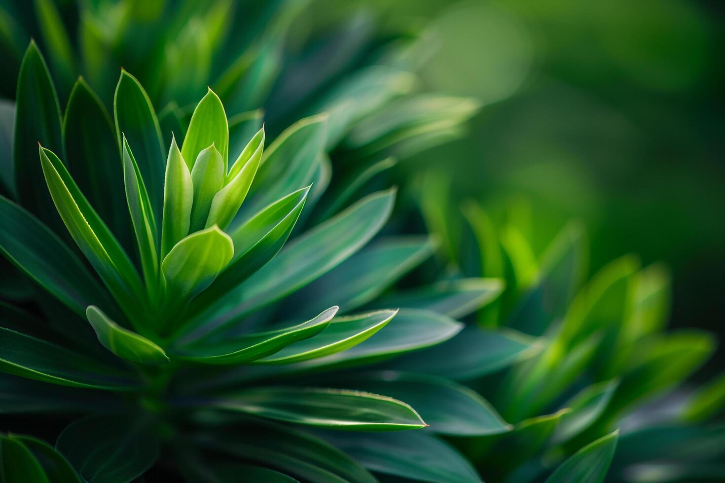 of green leaves on a plant photo