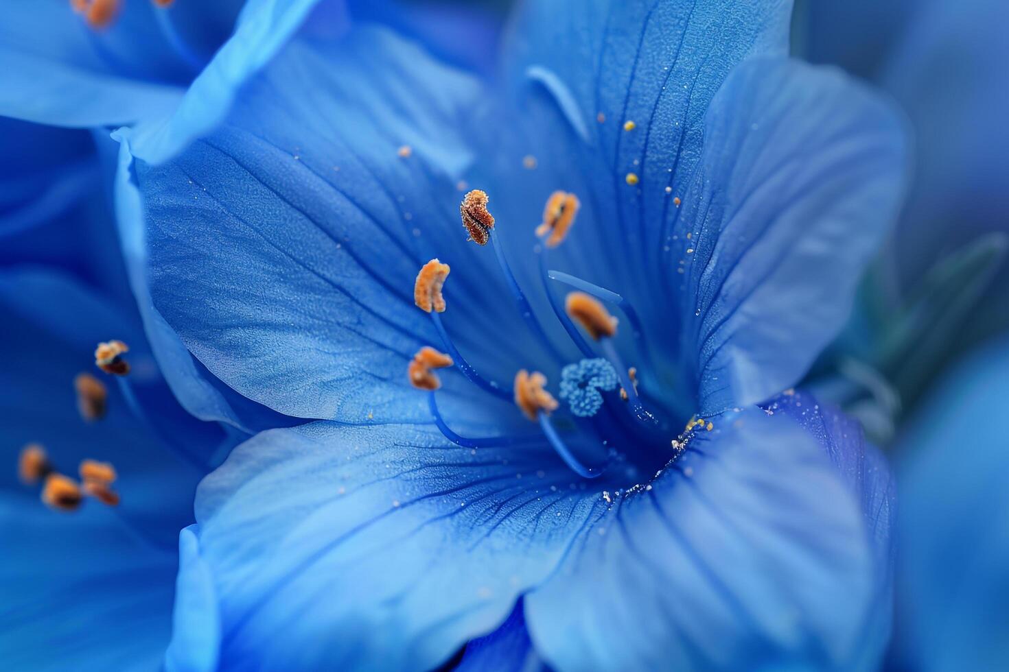 a  of a blue flower with yellow stamens photo