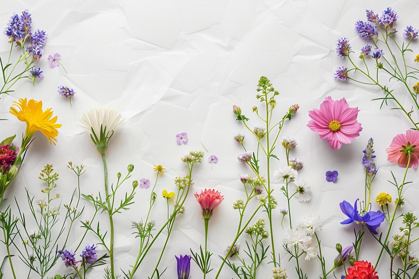 flowers on a white background photo