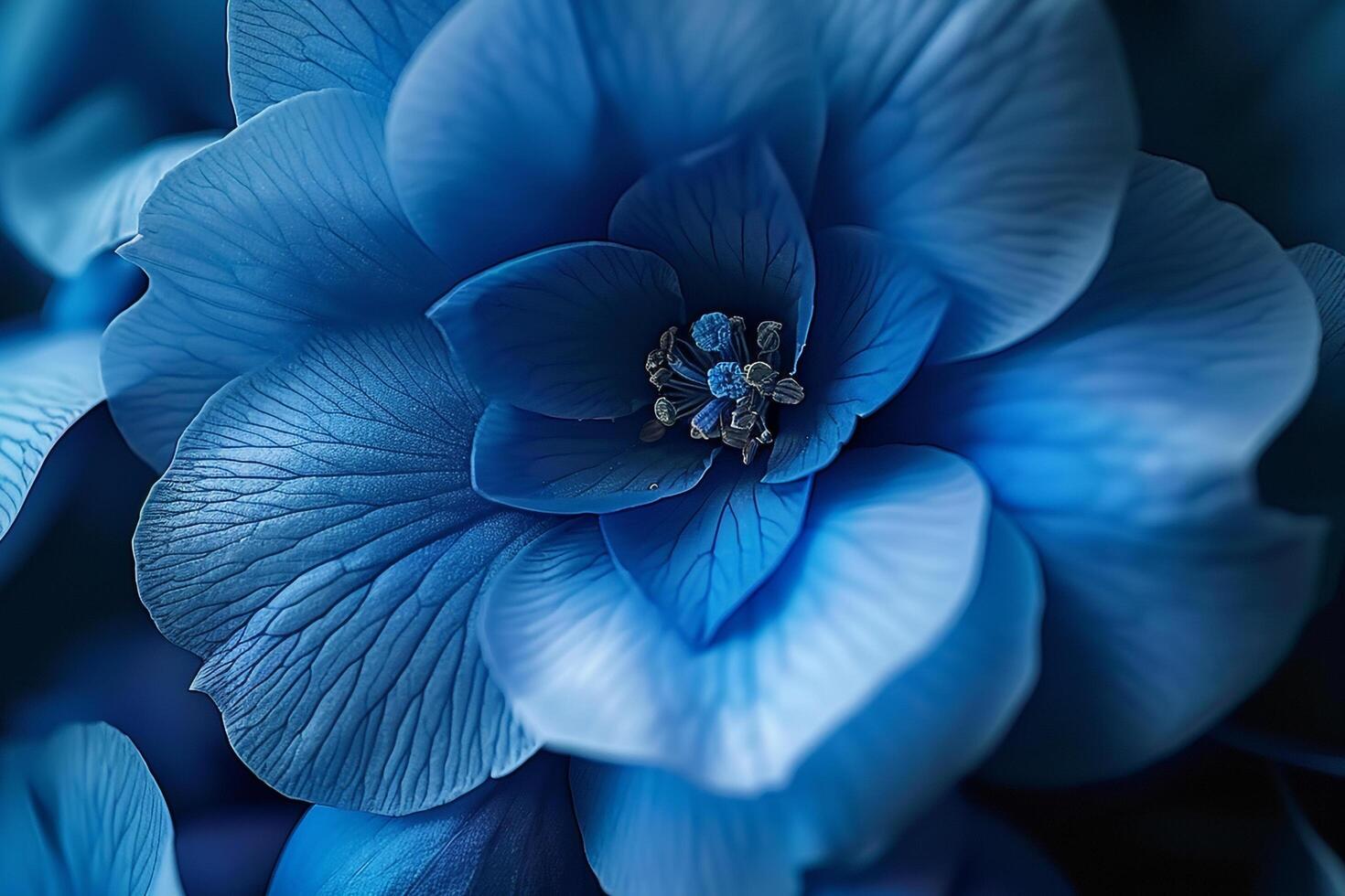 a  of a blue flower photo