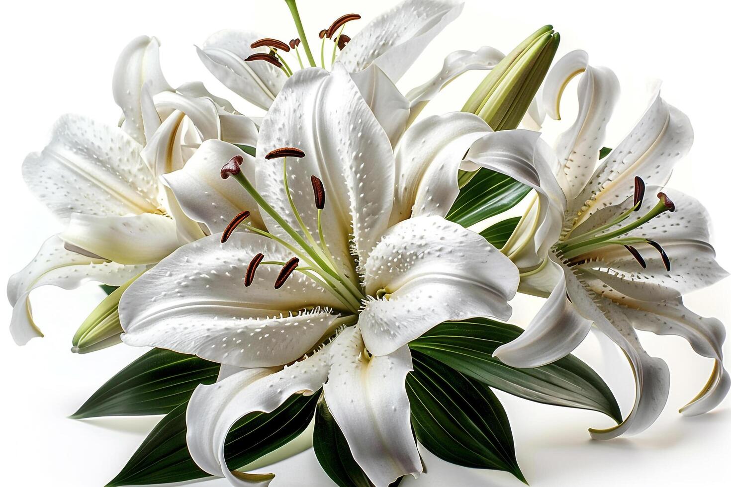 white lilies are arranged in a bouquet photo
