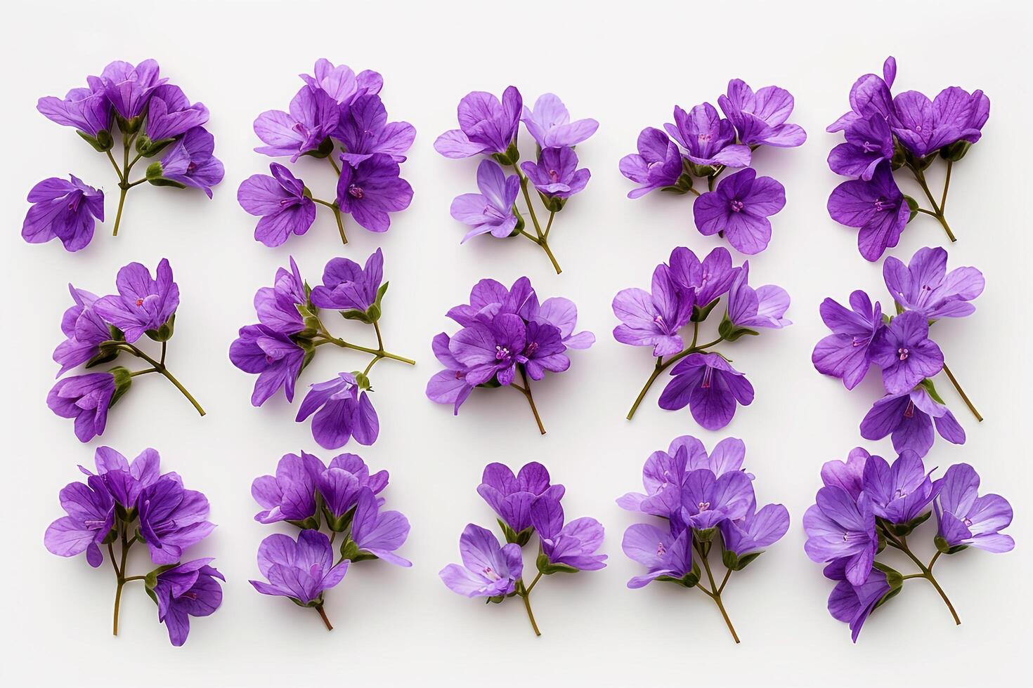 Purple flowers arranged in a square pattern on a white background background photo